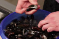 Mosselen maken