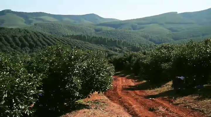 AHL_PRD_AH_De_Leverancier_-_11_-_Avocadoboer_FINAL_MET_ONDERT.f4v