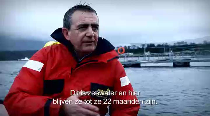 AHL_PRD_AH_Leverancier_zalmboer.f4v