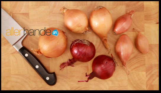 AHKL Lasagne Poster Ui