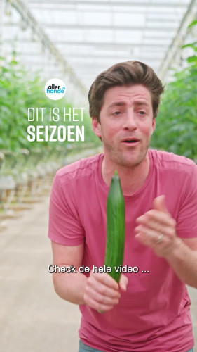Dit is het seizoen - komkommer