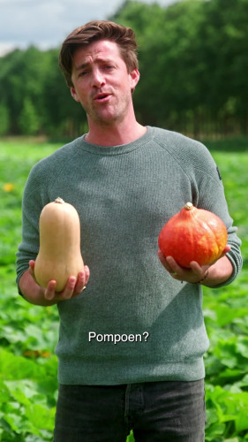 Dit is het seizoen van de pompoen
