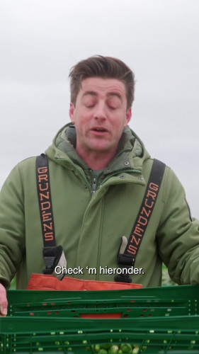 Dit is het seizoen van spruitjes