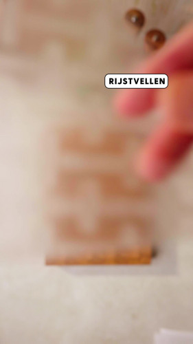 Crispy rijstvel met garnalen en mango