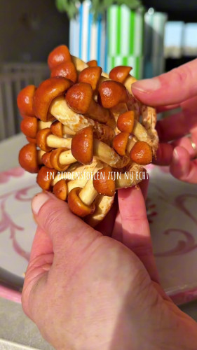 Gnocchi met zwarte knoflook en paddenstoelen van Veggilaine